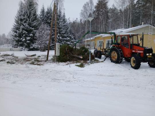 Kuva: Markku Kettunen 2025