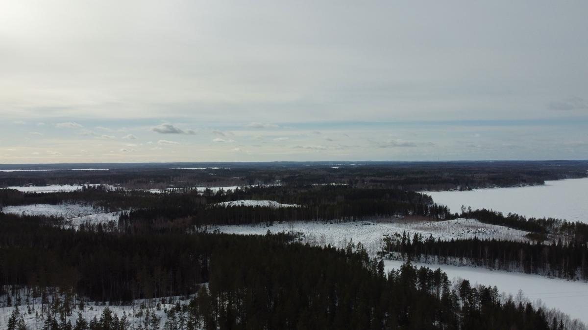 Tämä maisema on kuin maalausmaaliskuu 2025