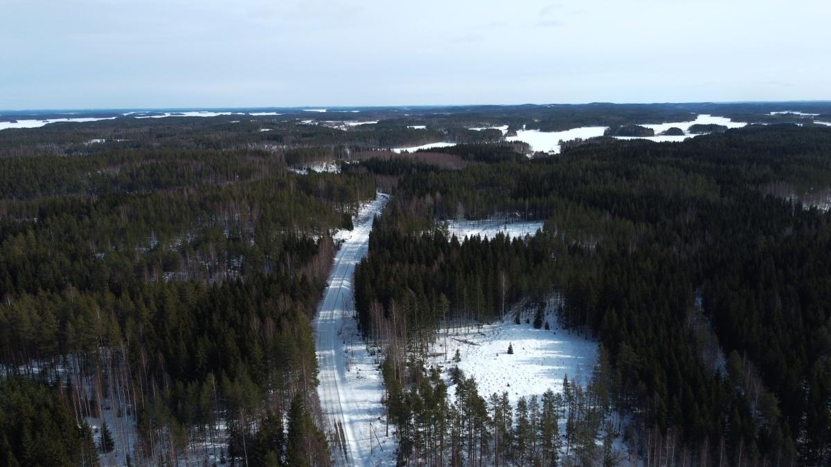 Tiemassaaren tietä ympäröi näyttävät metsätmaaliskuu 2025